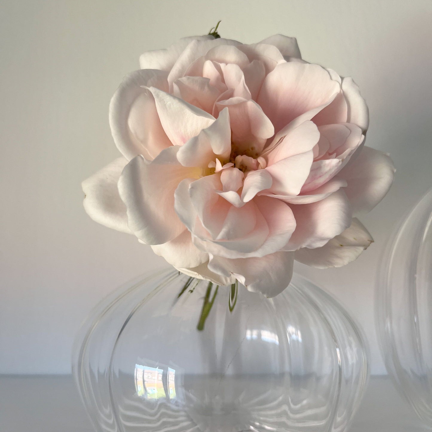 short pumpkin shaped glass bud vase styled with single rose stem.
