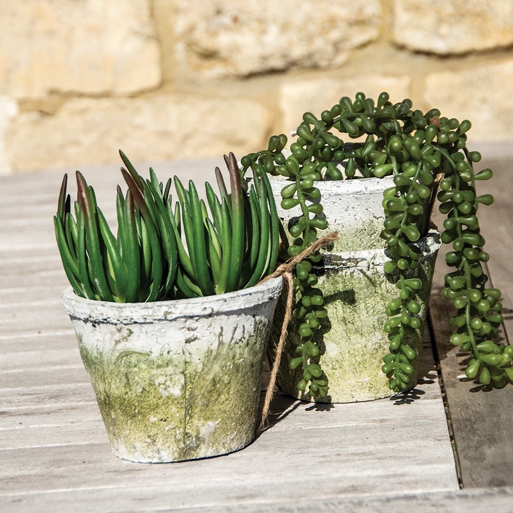 Aged White Stone Plant Pot