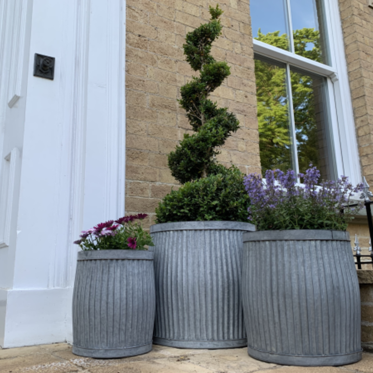 galvanised planter