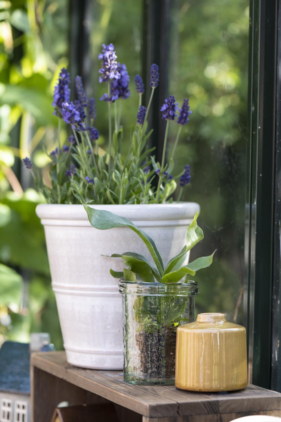 off-white ceramic plant pot