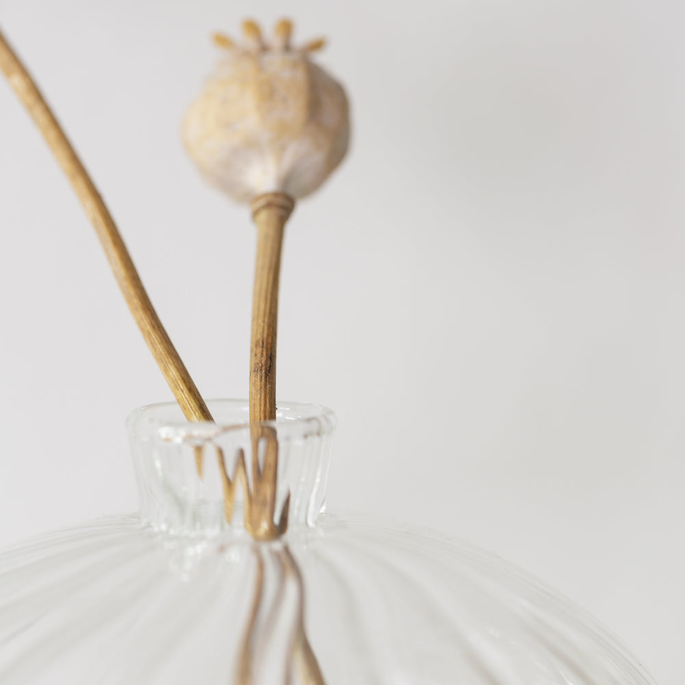 A short glass ribbed bud vase perfect for displaying blooms or single stems