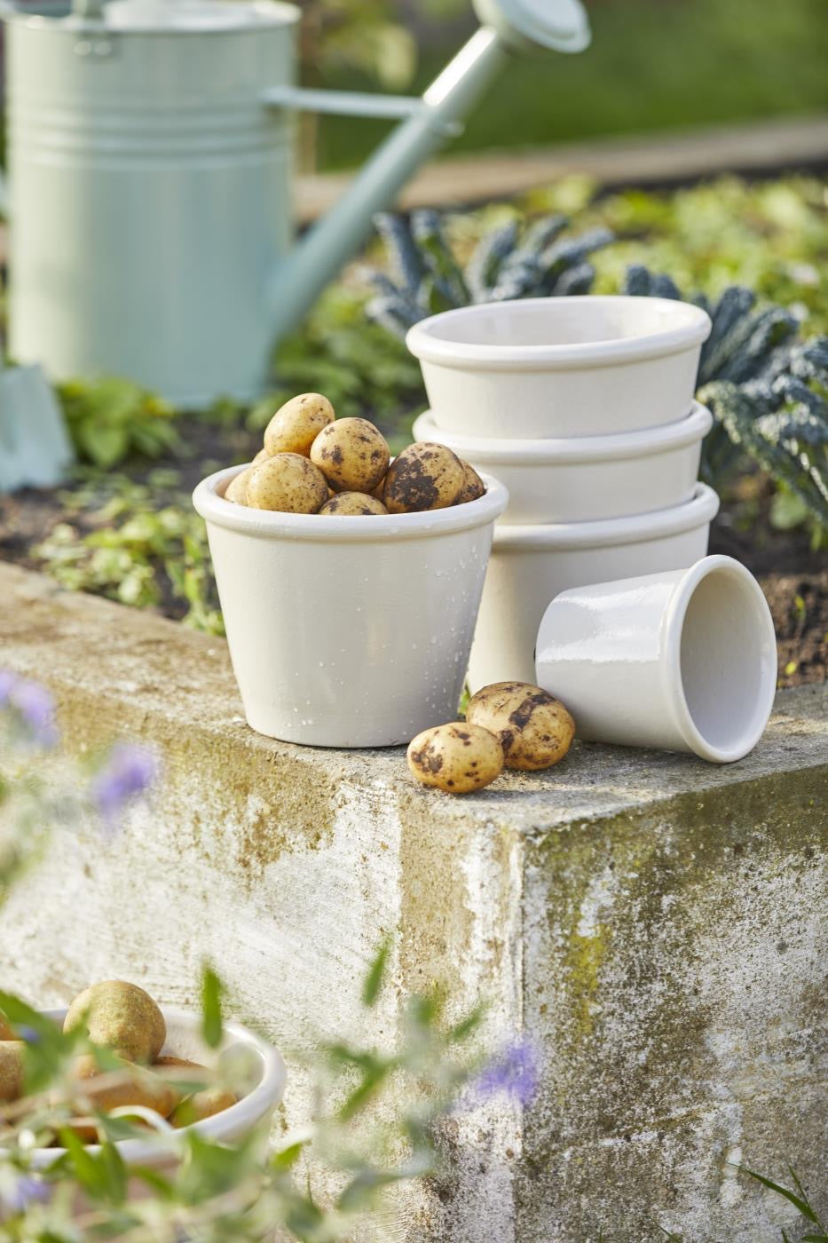 Ceramic Plant Pot in Sand