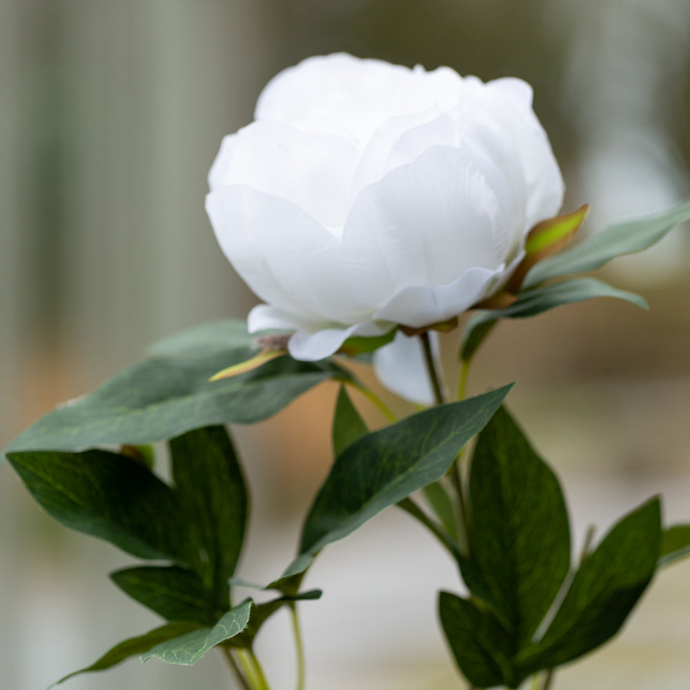 Faux Peony Spray White
