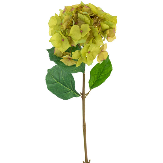 2 Faux Green Hortensia Stems