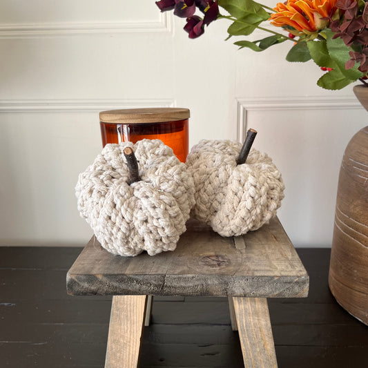 Set of 2 Small Neutral Pumpkins With Wooden Stalk