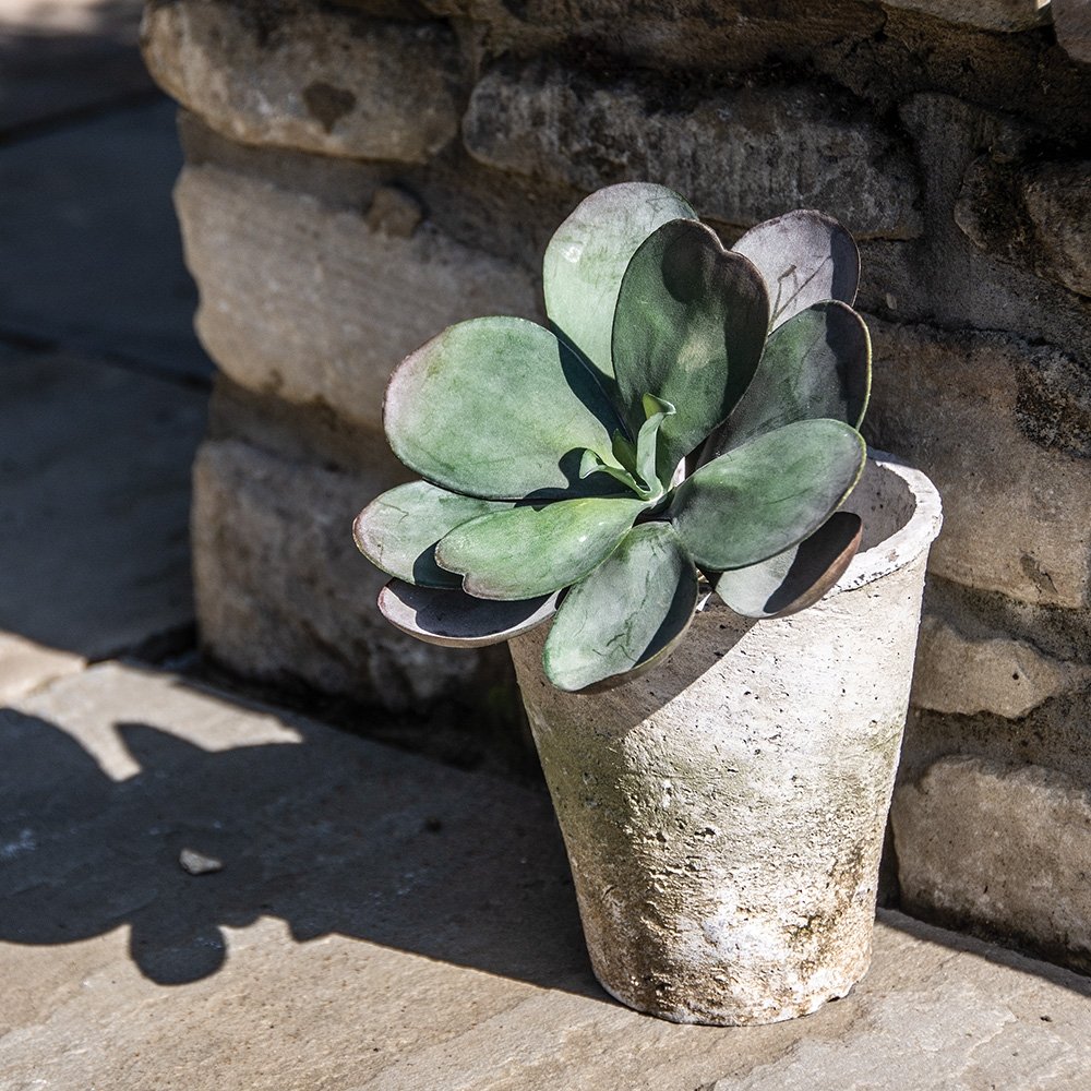 White Stone Terracotta Rose Plant Pot