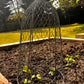Chicken Wire Plant Cloche