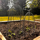 Chicken Wire Plant Cloche