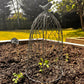 Chicken Wire Plant Cloche