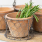 terracotta pots in wire basket