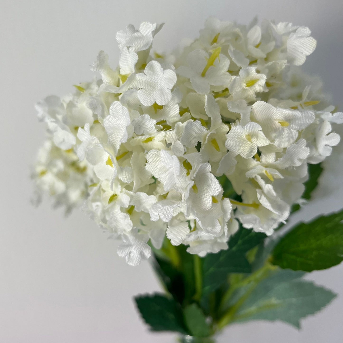 small cream viburnum stem styled in a small bud vase