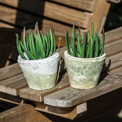 White Stone Terracotta Rose Plant Pot