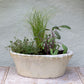 White Stone Terracotta Bulb Pot