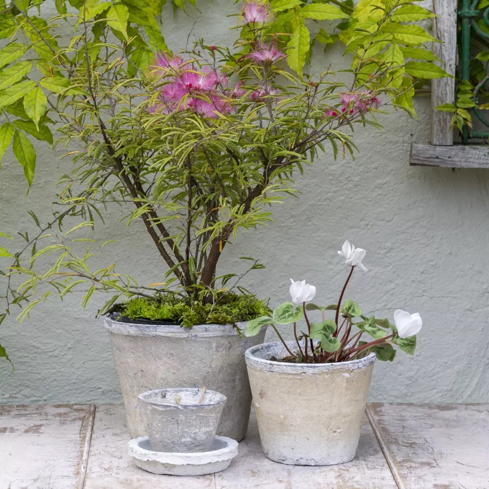 White Stone Terracotta Cactus Plant Pot