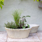 White Stone Terracotta Bulb Pot