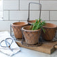 terracotta pots in wire basket