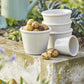 Ceramic Plant Pot in Sand